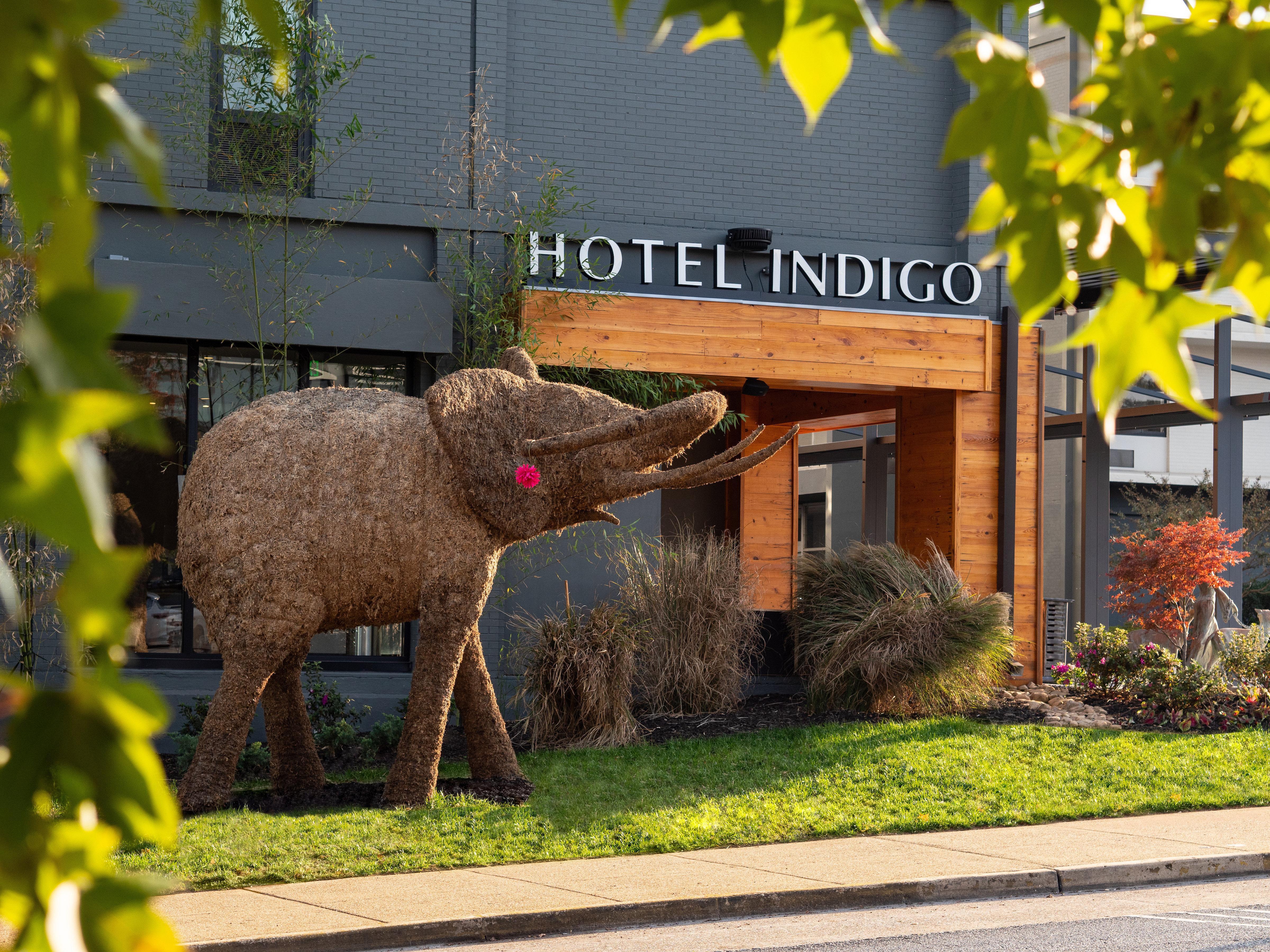Hotel Indigo Chattanooga - Downtown, An Ihg Hotel Exterior foto